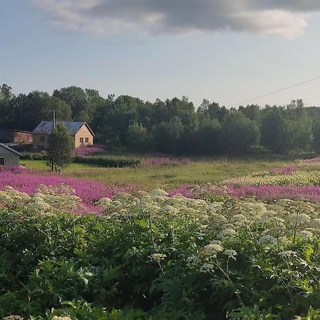Norwegian House Maria Stua Apartman Mefjordvær Kültér fotó
