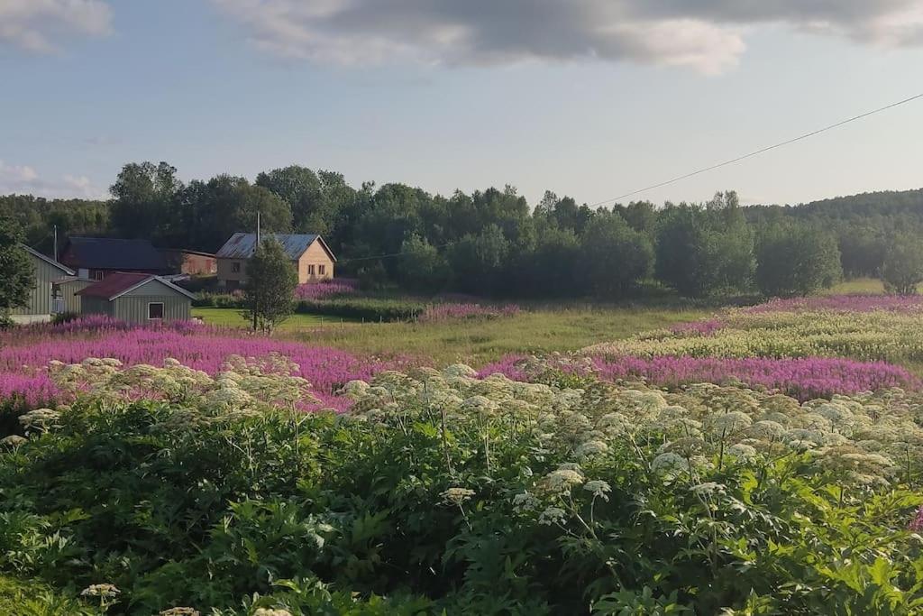 Norwegian House Maria Stua Apartman Mefjordvær Kültér fotó