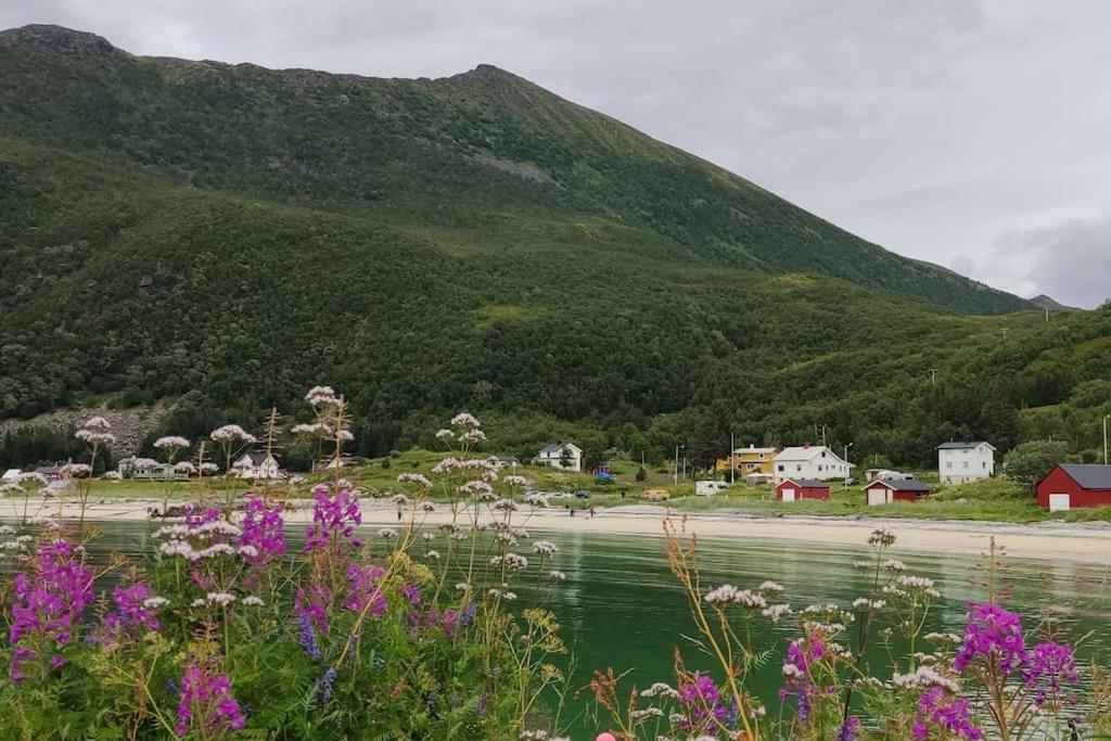 Norwegian House Maria Stua Apartman Mefjordvær Kültér fotó