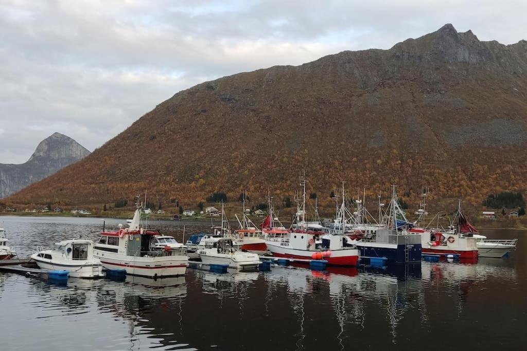 Norwegian House Maria Stua Apartman Mefjordvær Kültér fotó
